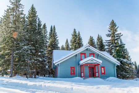 Внешний вид