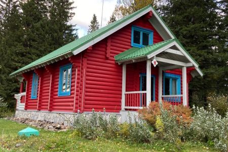 Внешний вид