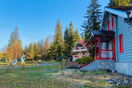 Внешний вид