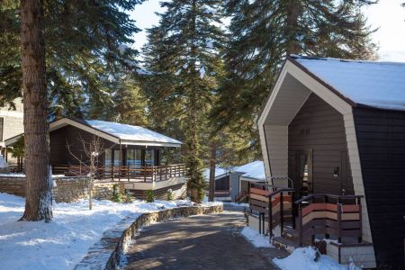 Территория