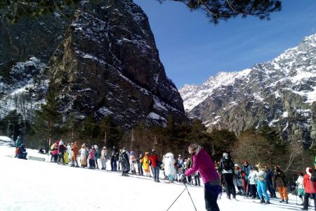 Внешний вид