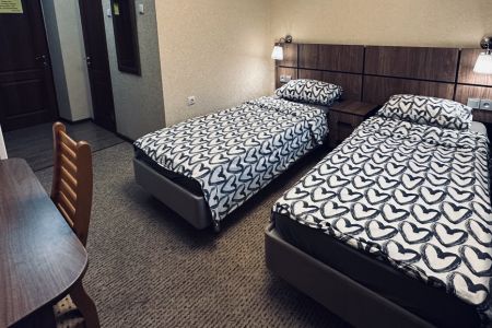 Стандартный 2-местный (DBLTWIN 306-310)