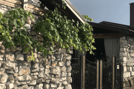 Территория