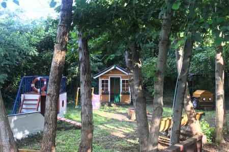 Территория