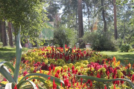 Внешний вид