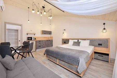 Люкс (кухня с обеденной зоной)