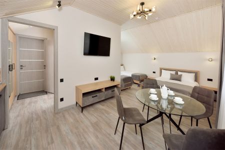 Люкс (кухня с обеденной зоной)