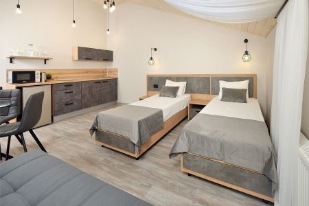 Люкс (кухня с обеденной зоной)