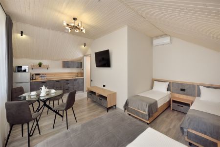 Люкс (кухня с обеденной зоной)