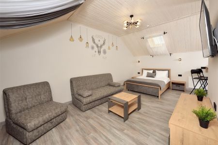 Люкс (кухня с обеденной зоной)