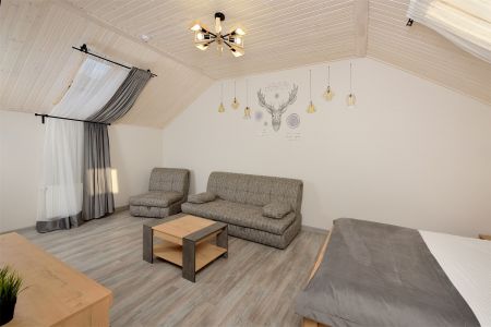 Люкс (кухня с обеденной зоной)