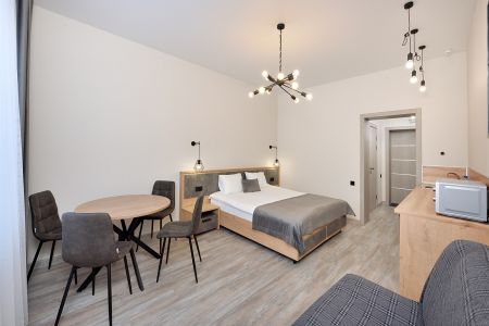 Люкс (кухня с обеденной зоной)