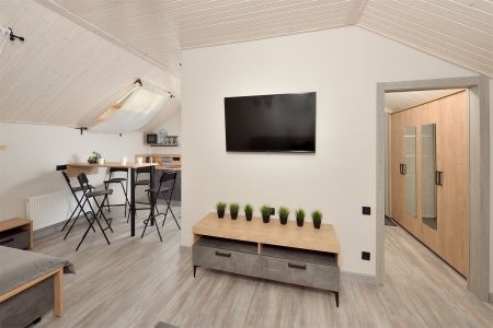 Люкс (кухня с обеденной зоной)