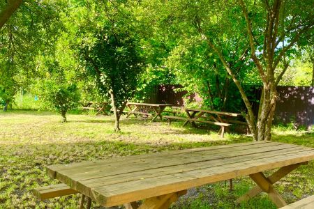 Внешний вид.