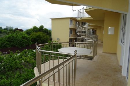 Внешний вид.