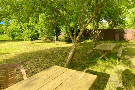 Внешний вид.