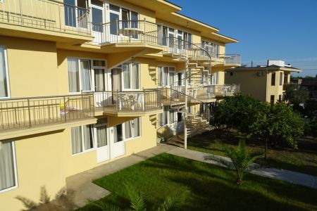 Внешний вид.