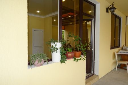 Внешний вид.