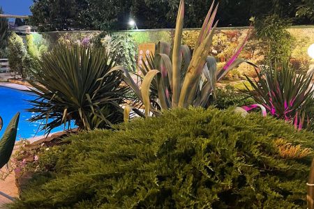 Территория