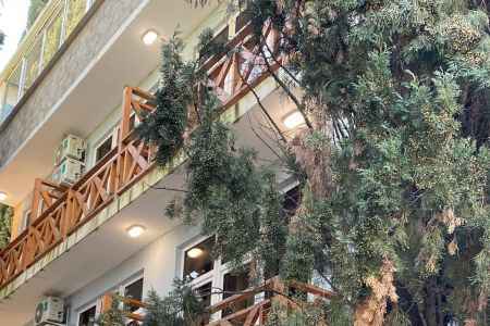 Внешний вид