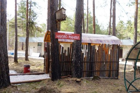 Внешний вид