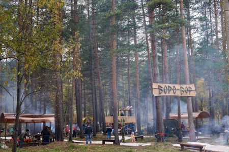 Внешний вид