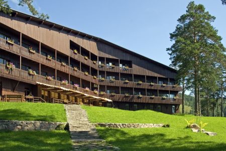 Внешний вид