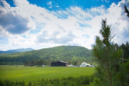 Внешний вид