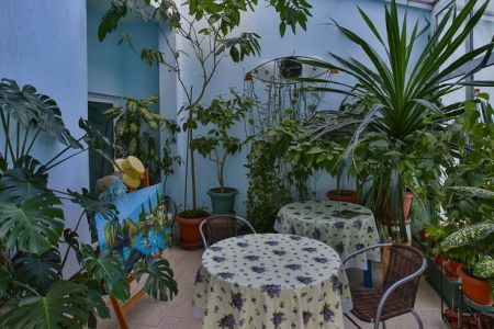 «Чайка» гостевой дом