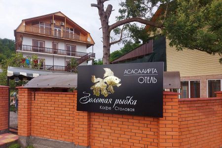 Внешний вид