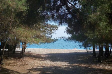 Территория