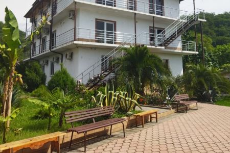 Внешний вид