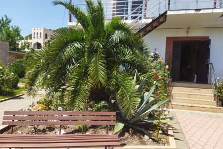 Внешний вид