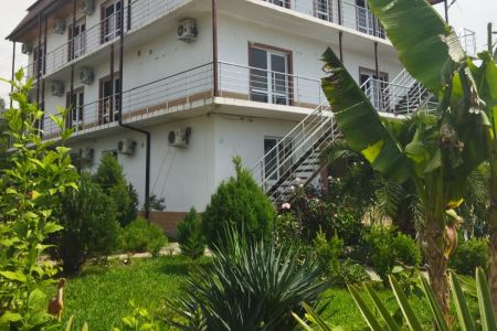 Внешний вид