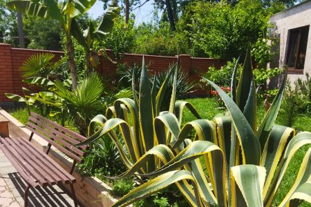 Территория