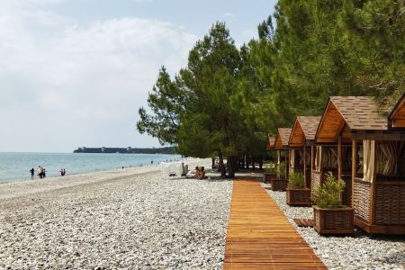 Внешний вид