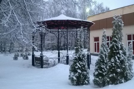 Внешний вид