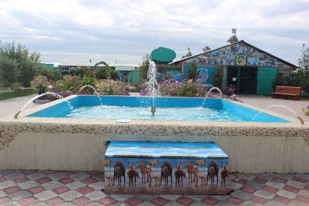 Внешний вид