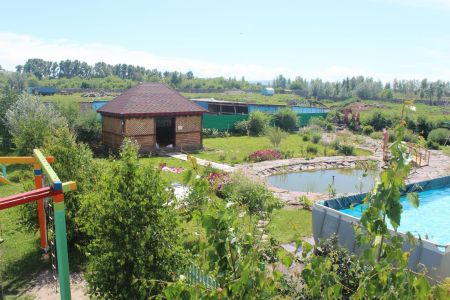 Внешний вид