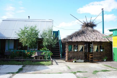 Внешний вид