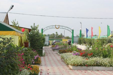 Внешний вид