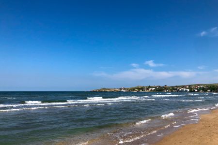 Внешний вид