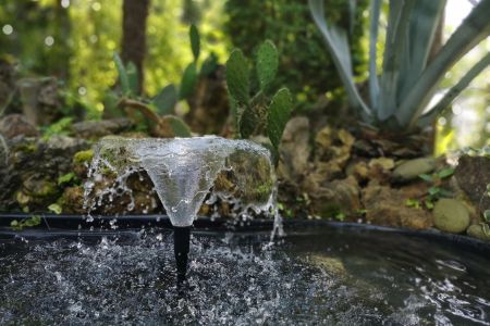 Территория. Фонтанчик