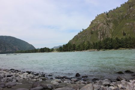 Внешний вид