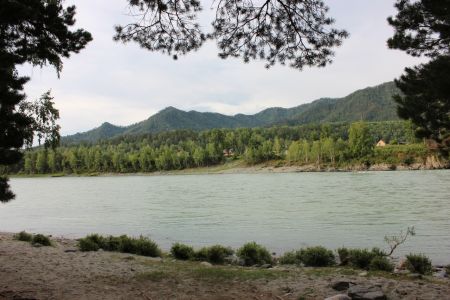 Внешний вид