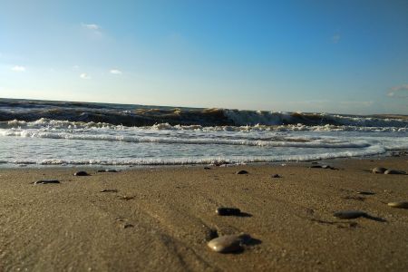 Внешний вид1