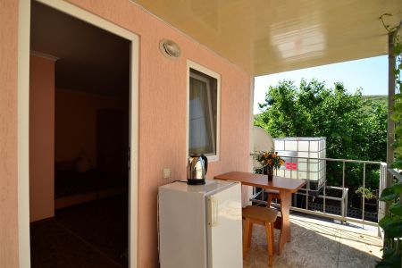 Внешний вид1