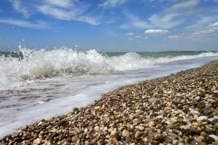 Внешний вид1