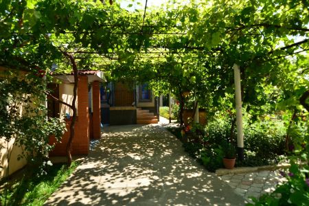 Внешний вид1