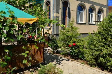 Внешний вид1